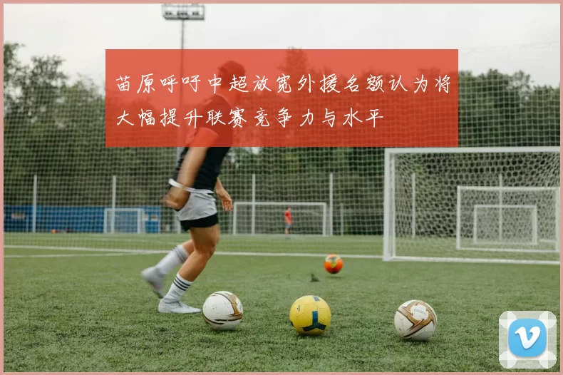 苗原呼吁中超放宽外援名额认为将大幅提升联赛竞争力与水平