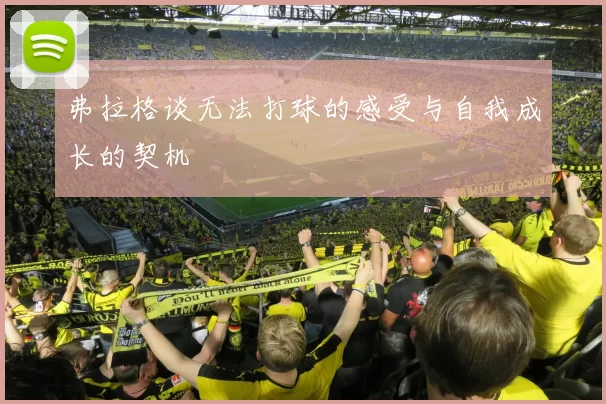 弗拉格谈无法打球的感受与自我成长的契机